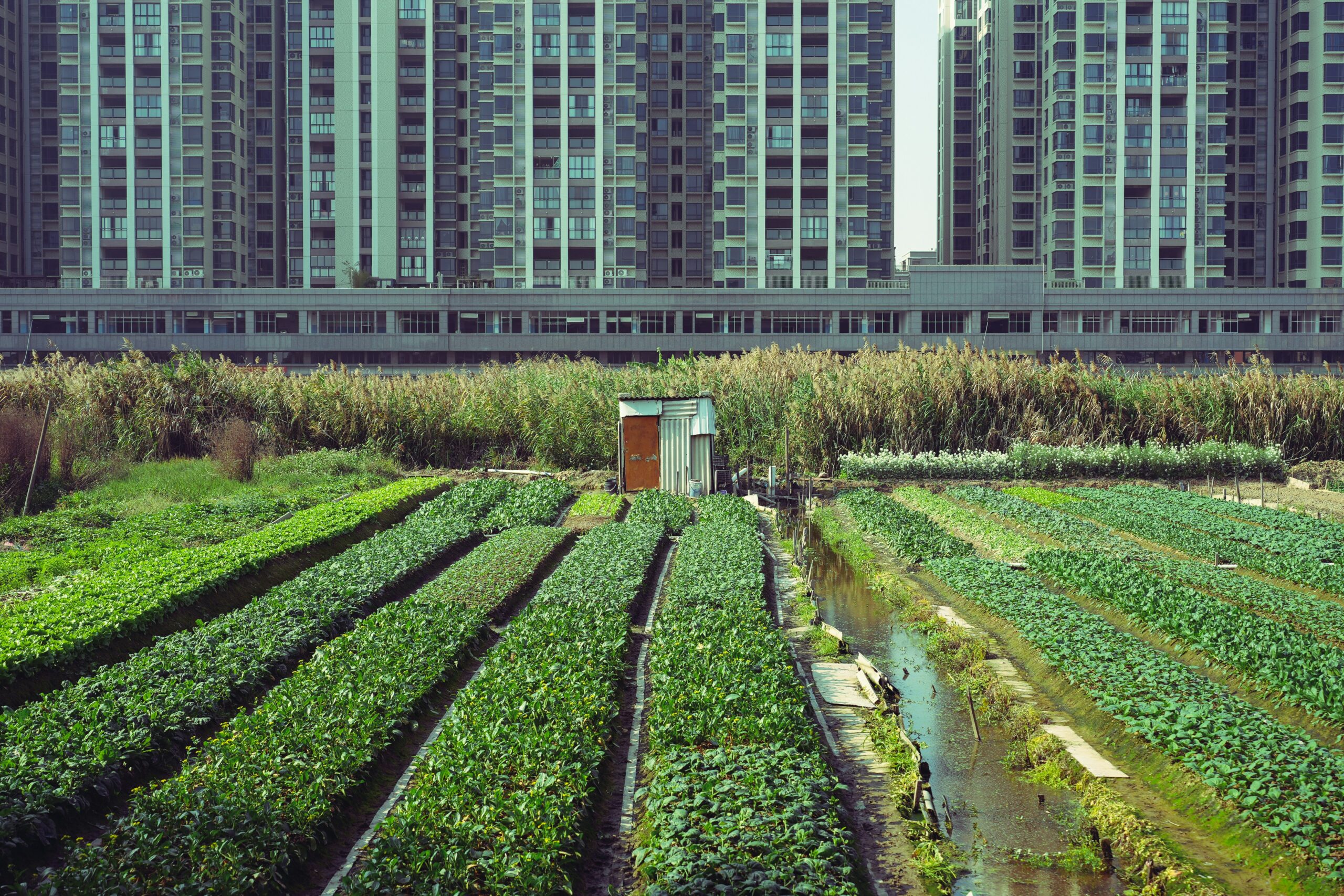 ferme vertical